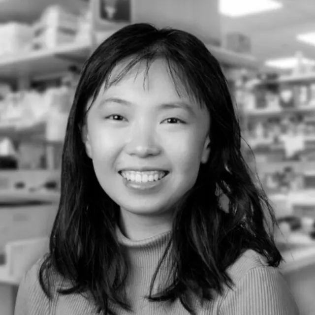 Linghua Zhang
